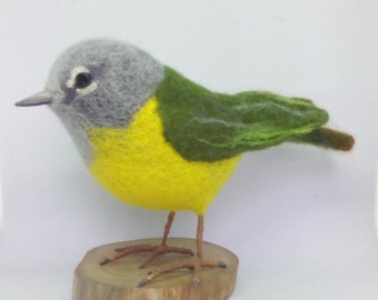 Felted wool birds. Felted MacGillivray&#39;s Warbler. Needle Felted Gift .Realistic wool bird. OOAK,garden bird,forest birds
