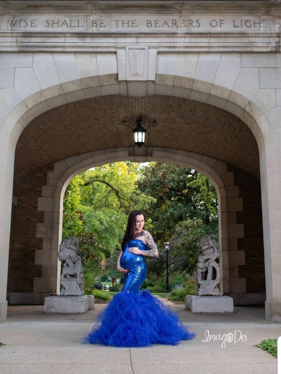 Royal Sequin TULLE DRESS Stripe Flowy Tutu/lace Closed/non Sheer