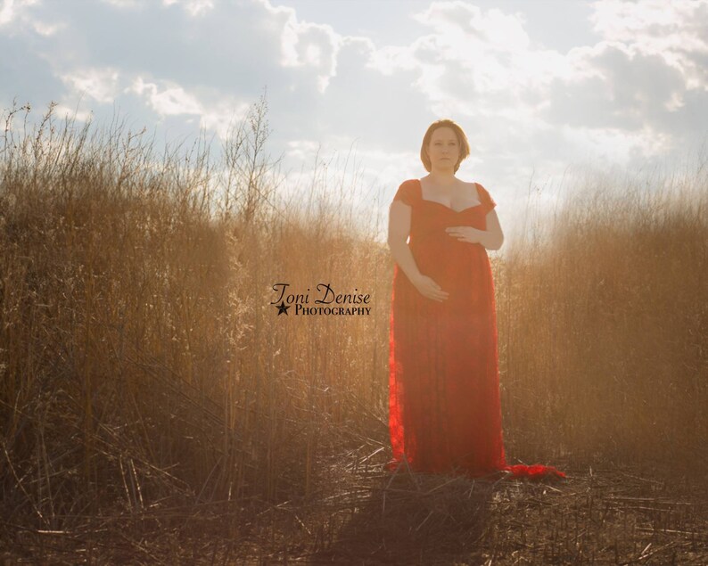 MODEST LACE Dress-Sm to PLUS Sizes short Sleeves LinedClosed Maternity Dress Pregnancy Photo Prop Baby ShowerMaternity Photo Session Gown