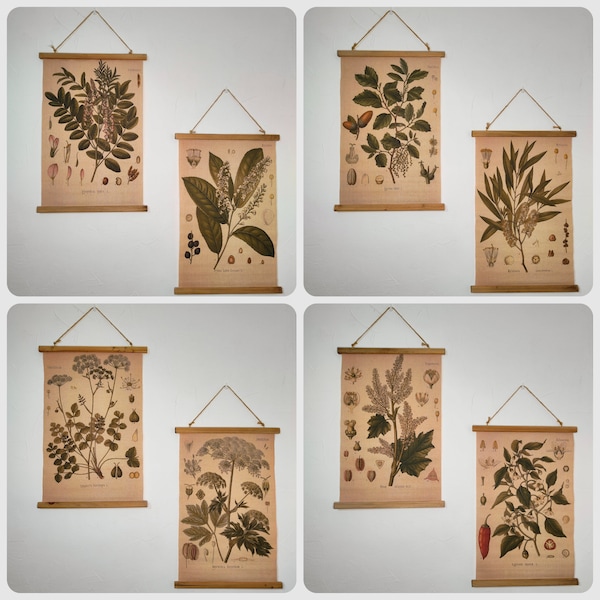 Ready to ship! Vintage botanical poster scroll frames | botanical canvas scroll | retro botanical wallart | textile print with hanger frames