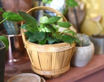 Antique Bent Flower Basket French Country Wicker Wooden Garden Basket Bent Handle / Waterproof Lined Planter Basket with Handle