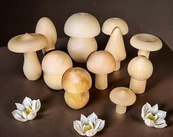 Wooden set of 11 mushrooms.