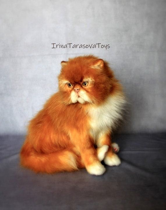 Ginger Realistic Cat Toy Persian Stuffed Animal Taxidermy Decor