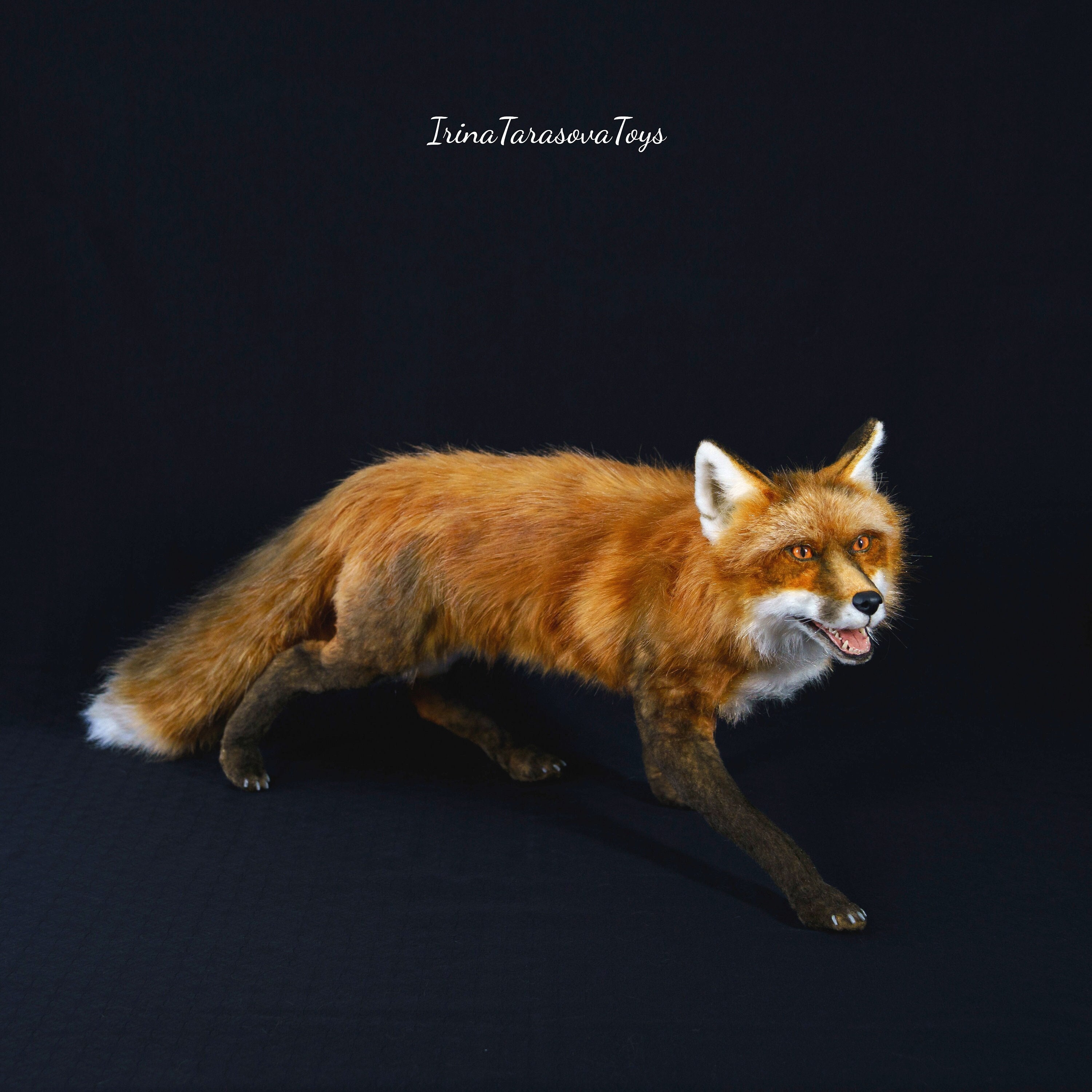 Plush Taxidermy - Etsy Plush Taxidermy - Etsy