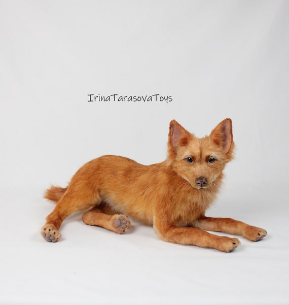 Realiste peluche chien Animal Portrait Faux taxidermie copie Pet decor a la maison rouge chiot taille reelle posable jouet Etsy France