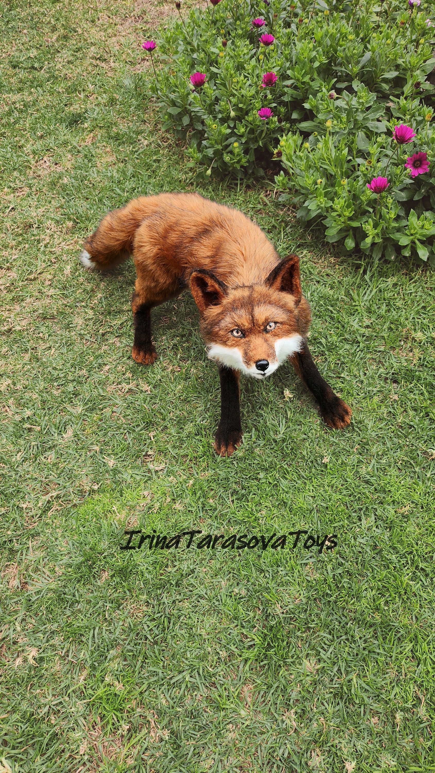 キツネの剥製 木製台座付き キツネの剥製 木製台座付き