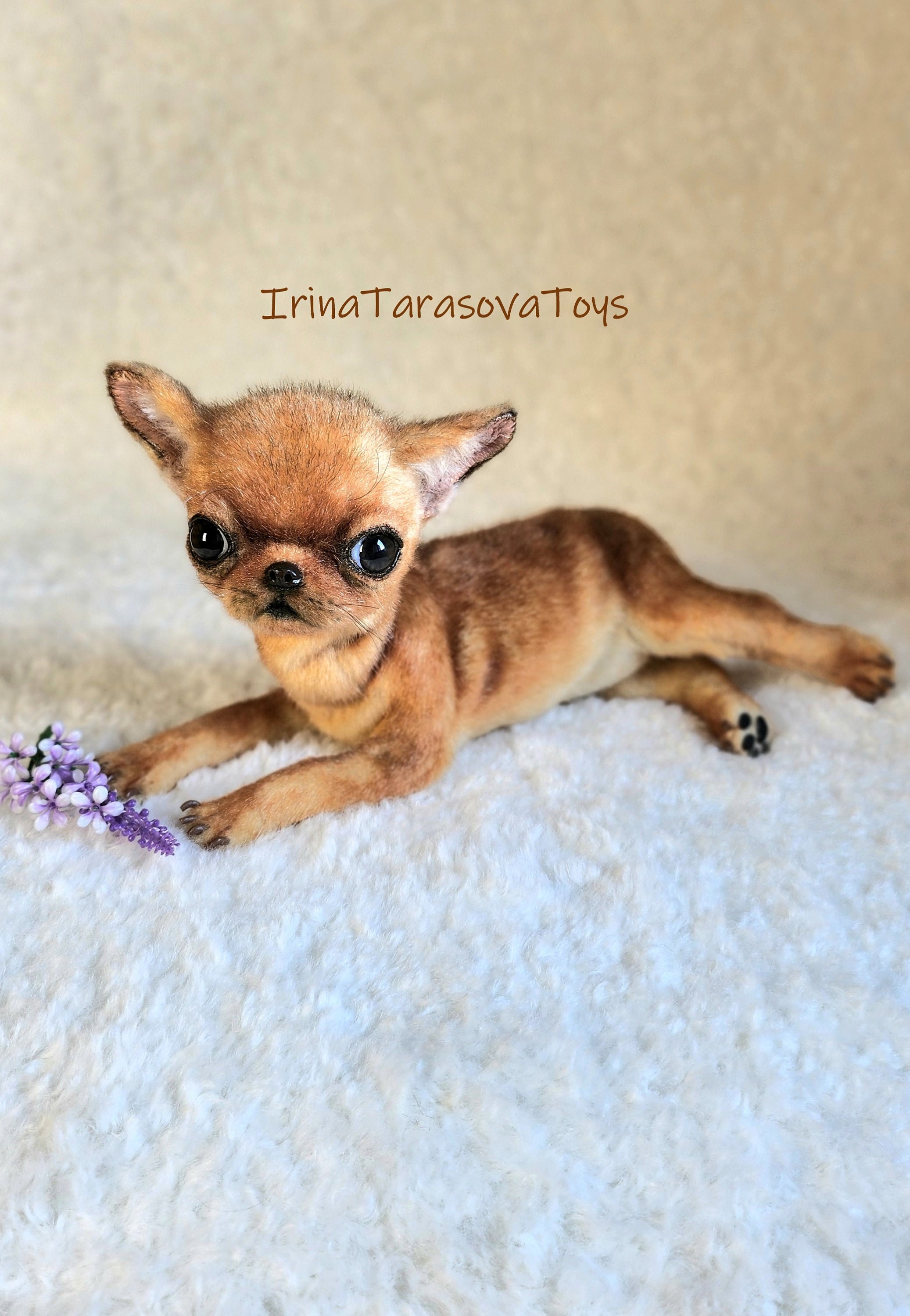 388 realistic chihuahua toys on Tedsby