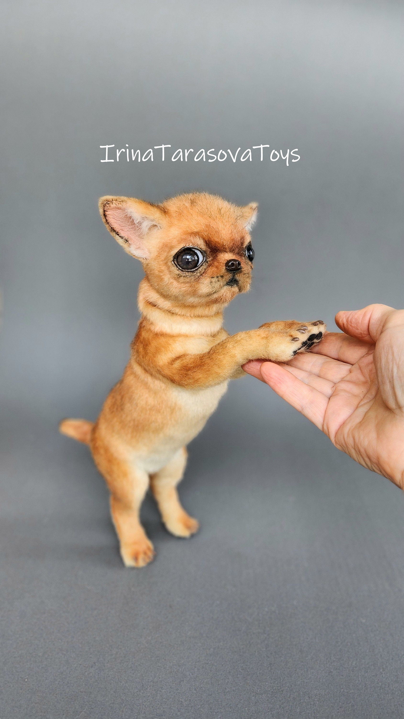 388 realistic chihuahua toys on Tedsby