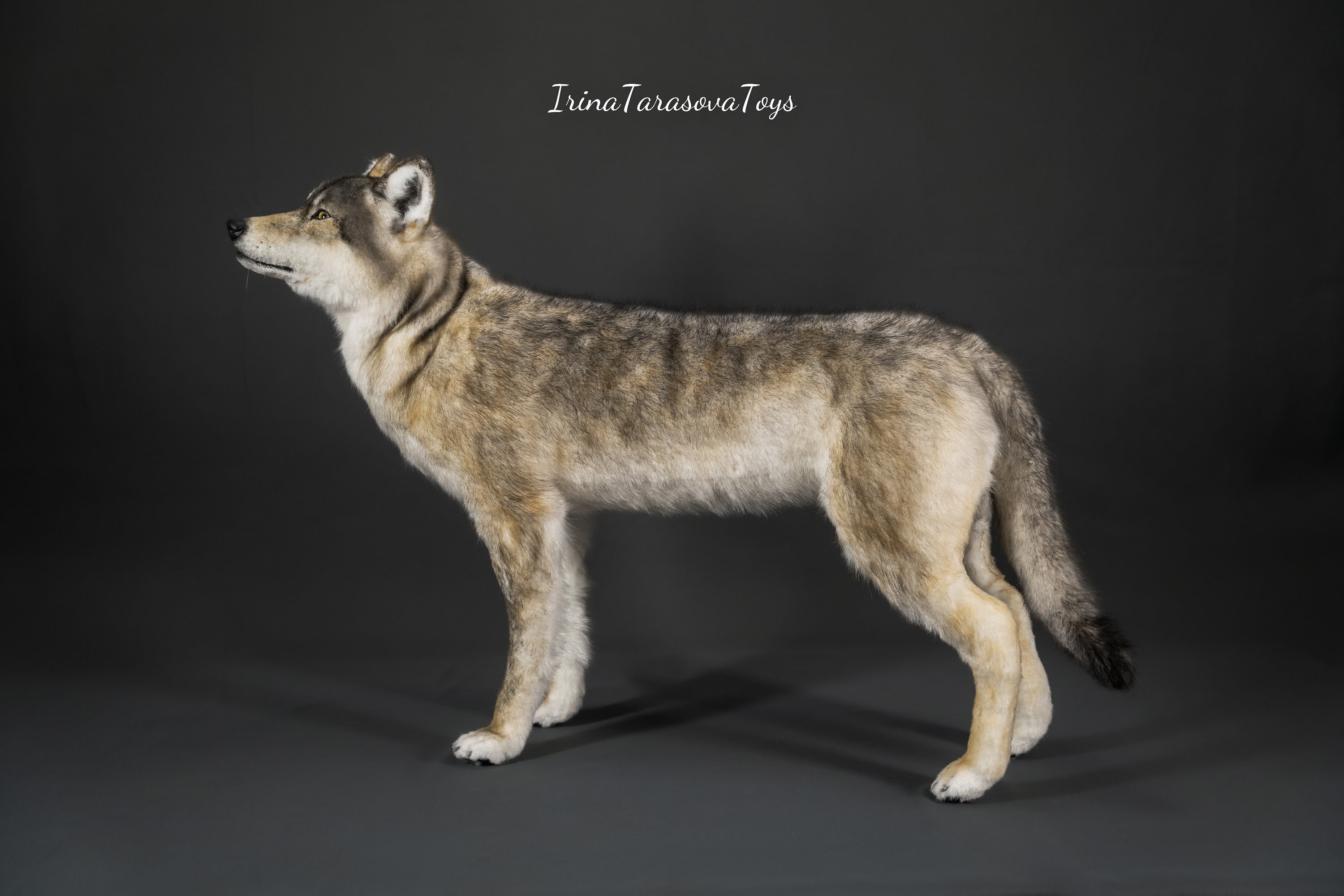 Wolf Realistic Animals Toy OOAK Art Doll Copy Wild Dog Soft Sculpture