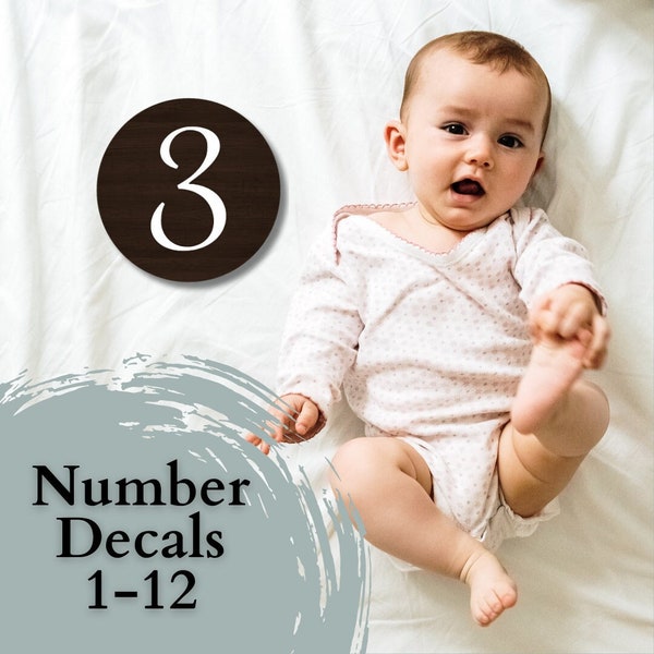 Vinyl Decal Numbers (1-12) for Baby Milestones Nursery Decor Baby Numbers for Month Markers Photo Idea Baby First Year Tracking Display