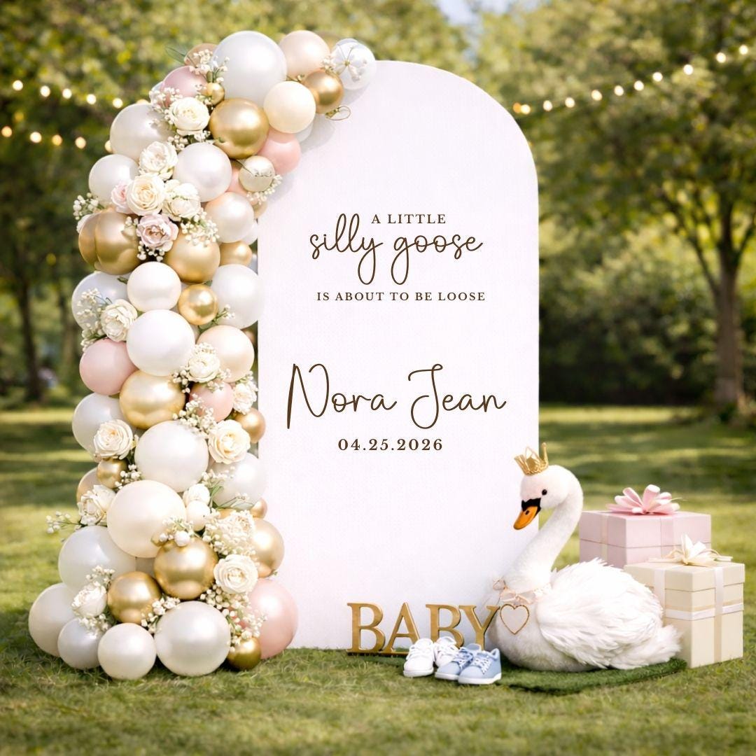 A Little Silly Goose Baby Shower Decal for Baby Shower Silly Goose Arch ...