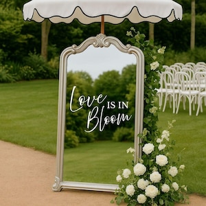 Pu&ograve; includere: Un alto specchio da terra ad arco con cornice argentata, che riporta la scritta bianca Love is in Bloom. Lo specchio &egrave; sormontato da un ombrellone bianco smerlato e decorato con una composizione verticale di fiori bianchi e fogliame verde.