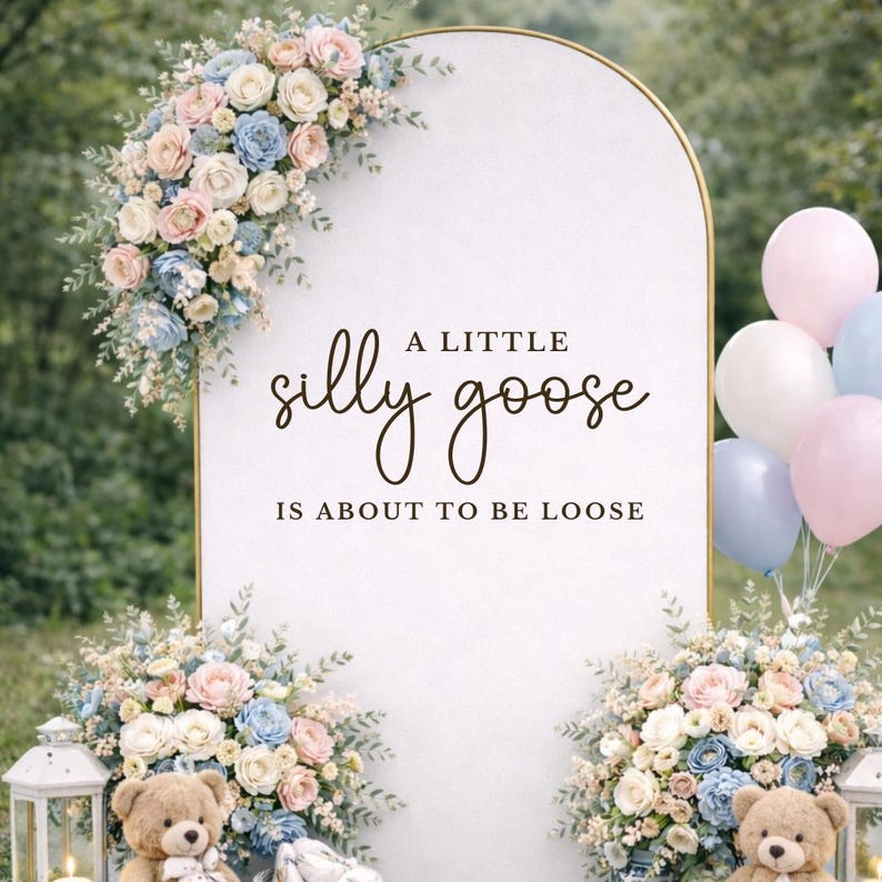 A Little Silly Goose Welcome Sign Baby Shower Decal for Mirror Welcome Decal Silly Goose On The Way Custom Vinyl Backdrop Party Sign Decor