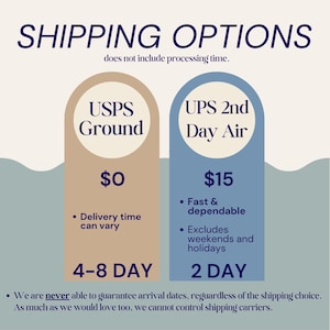 Pu&ograve; includere: Un grafico informativo intitolato SHIPPING OPTIONS che mostra due colonne. La colonna sinistra &egrave; color sabbia con il testo USPS Ground, $0 e 4-8 DAY. La colonna destra &egrave; blu con il testo UPS 2nd Day Air, $15 e 2 DAY. Un testo in basso indica che le date di arrivo non sono garantite.