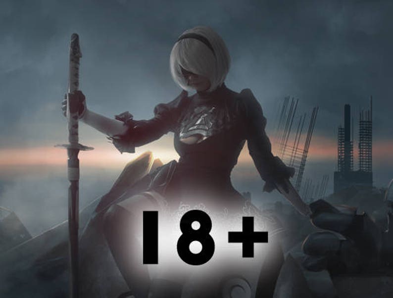 Nier Automata 2B erocosplay photobook vol.2 18 Etsy