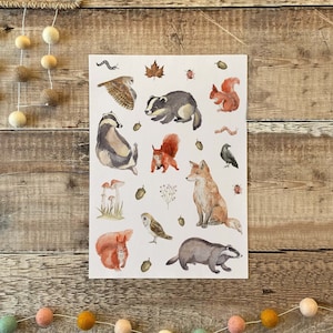 Feuille d'autocollants - Animaux des bois de la forêt, blaireau renard écureuil Chouette, autocollants esthétiques pour carnet de voyage, album de coupures, enfants mignons personnalisés Royaume-Uni