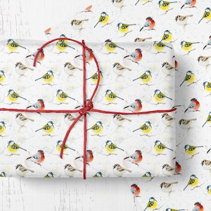 Rouleau de papier cadeau, papier ornithologique oiseau aquarelle mésange bleue