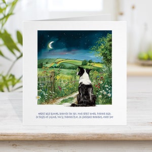 Tarjeta conmemorativa del perro Border Collie, puente arco iris Tarjeta de pérdida de mascotas tarjeta de duelo animal, perdón por su perro perdido, tarjeta puesta a dormir