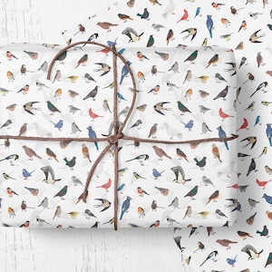 Rouleau de papier cadeau, une mangeoire pour les amateurs d'oiseaux, papier ornithologique pour oiseaux colorés, oiseau mésange bleue 2