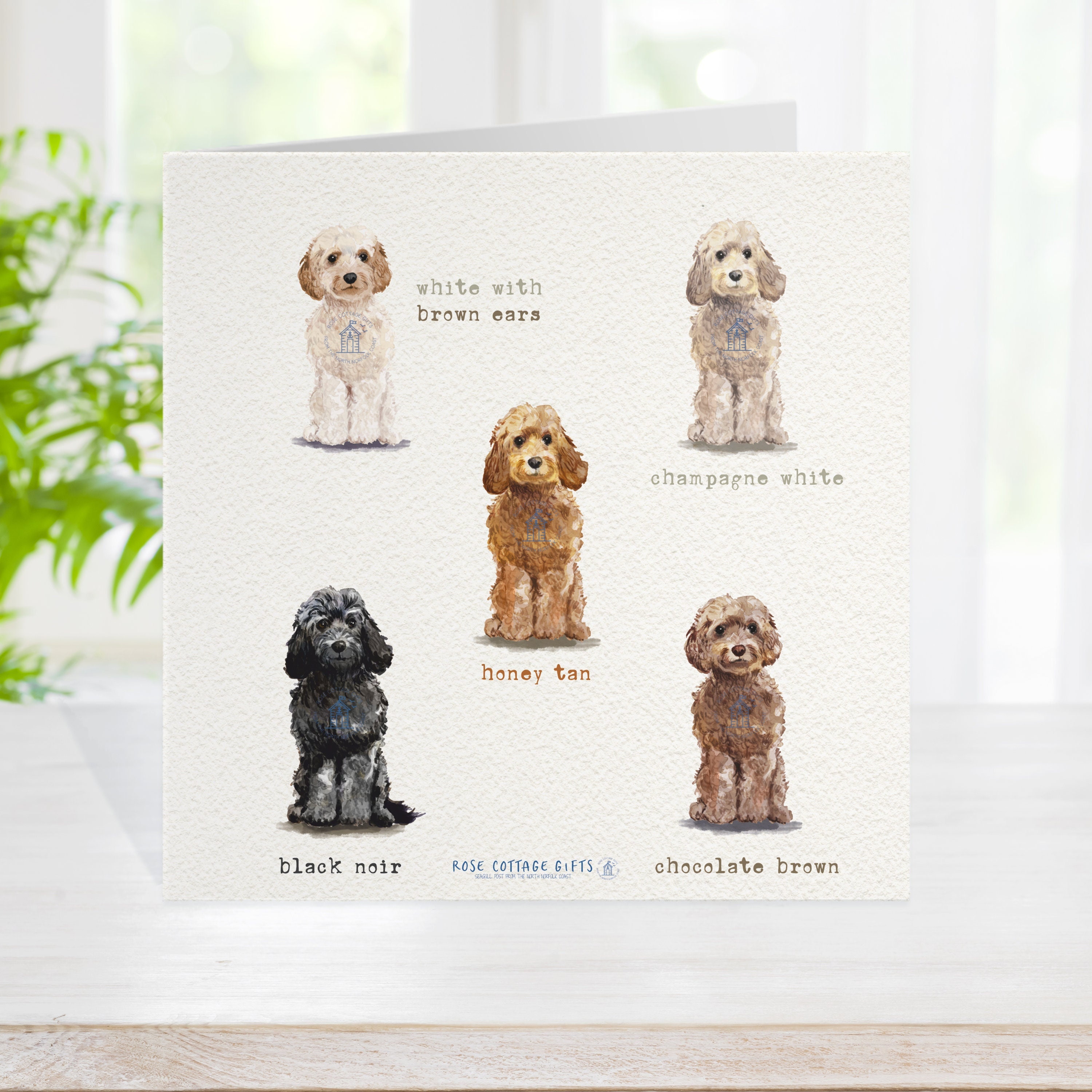 Tracks Publishing Weihnachtskarte Cockapoo Mit Geschenk – 16x16 Cm, Goldfolie, Aus Nachhaltigem Karton