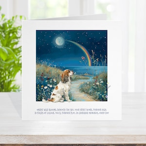Carte commémorative pour chien Cavalier King Charles, carte de décès d'un animal de compagnie sur le pont arc-en-ciel, carte de deuil d'animal, désolé pour votre chien, carte pour l'endormissement