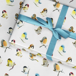 Carta da regalo per uccelli, carta da regalo per amanti degli uccelli, carta da regalo colorata per uccelli, carta da regalo per cinciallegre, carta da regalo per uccelli 3