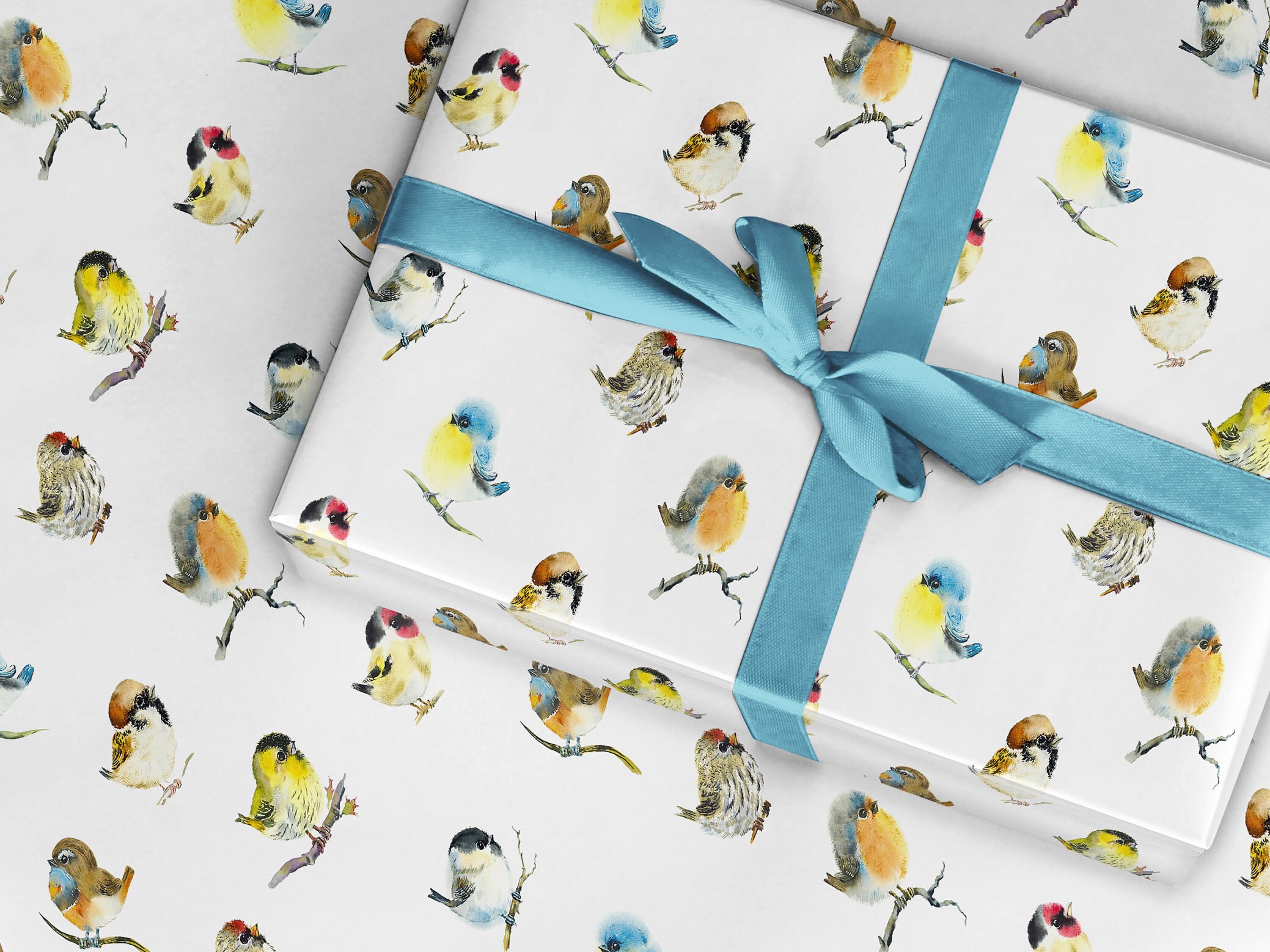 Bird Wrapping Paper Bird Lovers Gift Wrap a Bird Feeder Colourful Bird Ornithology Paper Blue Tit Wrapping Paper Bird Gift Wrap 3 Etsy UK