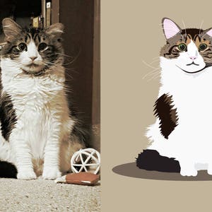Custom Cat Illustration for Cat Owner or Cat Lover Gift