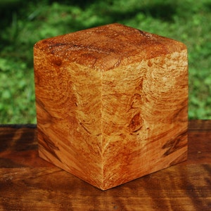 Dog/Pet (up to 50 pounds) Urn-Bottom Loading-Handcrafted from dark Spalted Ambrosia Maple and Red Oak Burl-FREE Basic Custom Laser Engraving