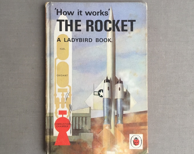 lady bird book the rocket