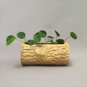 May include: A light brown ceramic planter shaped like a tree trunk with a leafy green plant inside.