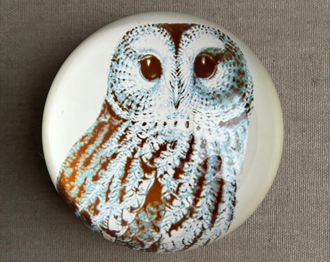 Owl Print Dome Round Paperweight