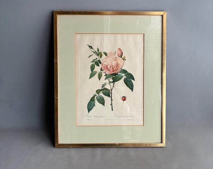 framed rose print