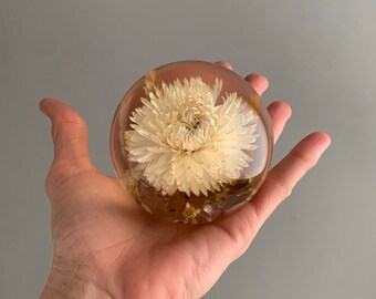 dandelion paper weight