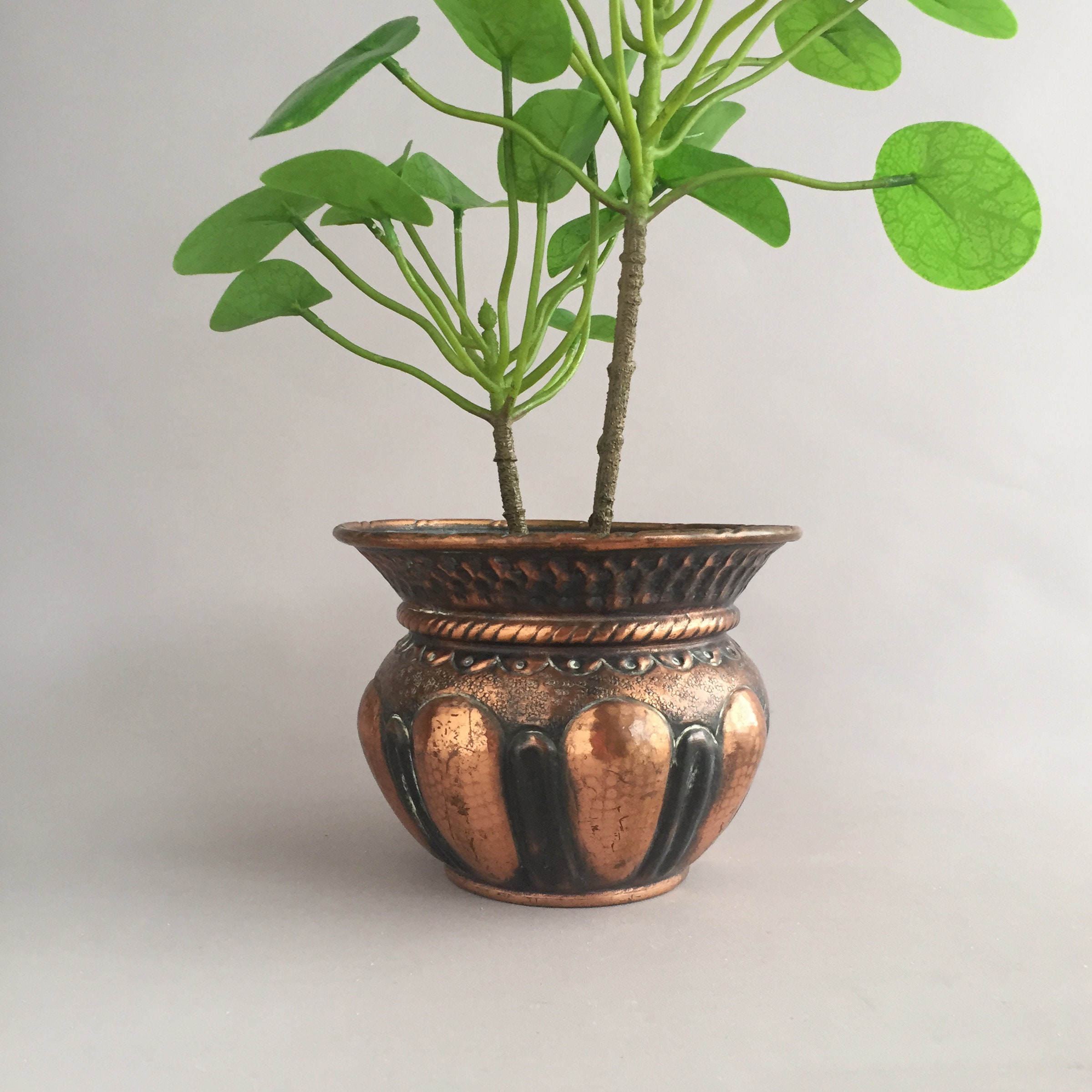Old copper plant pot
