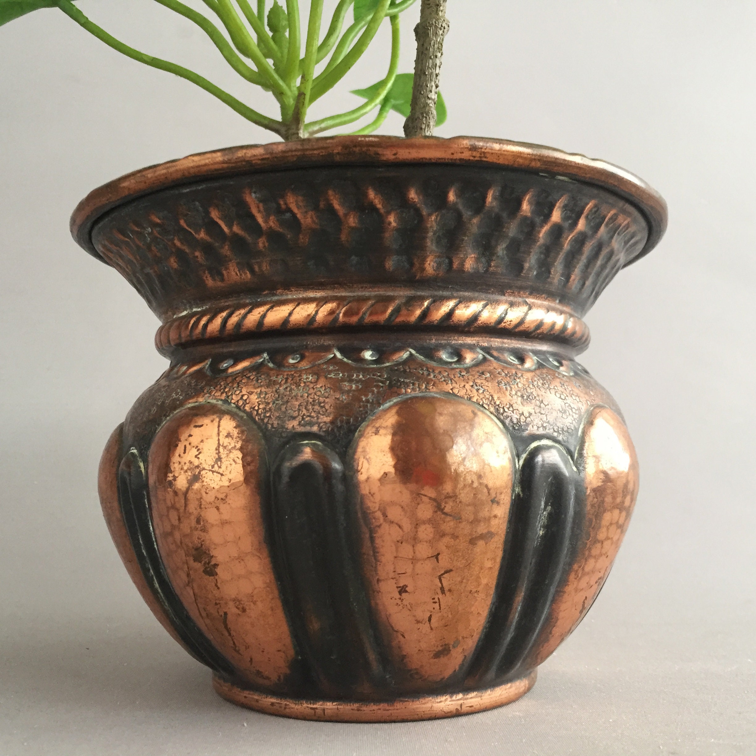 Old copper plant pot