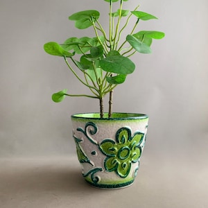 Può includere: Un vaso di fiori decorativo in ceramica con un design floreale verde e bianco, contenente una pianta verde a foglie. Il vaso ha una superficie strutturata e un bordo verde. La pianta ha foglie verdi rotonde.