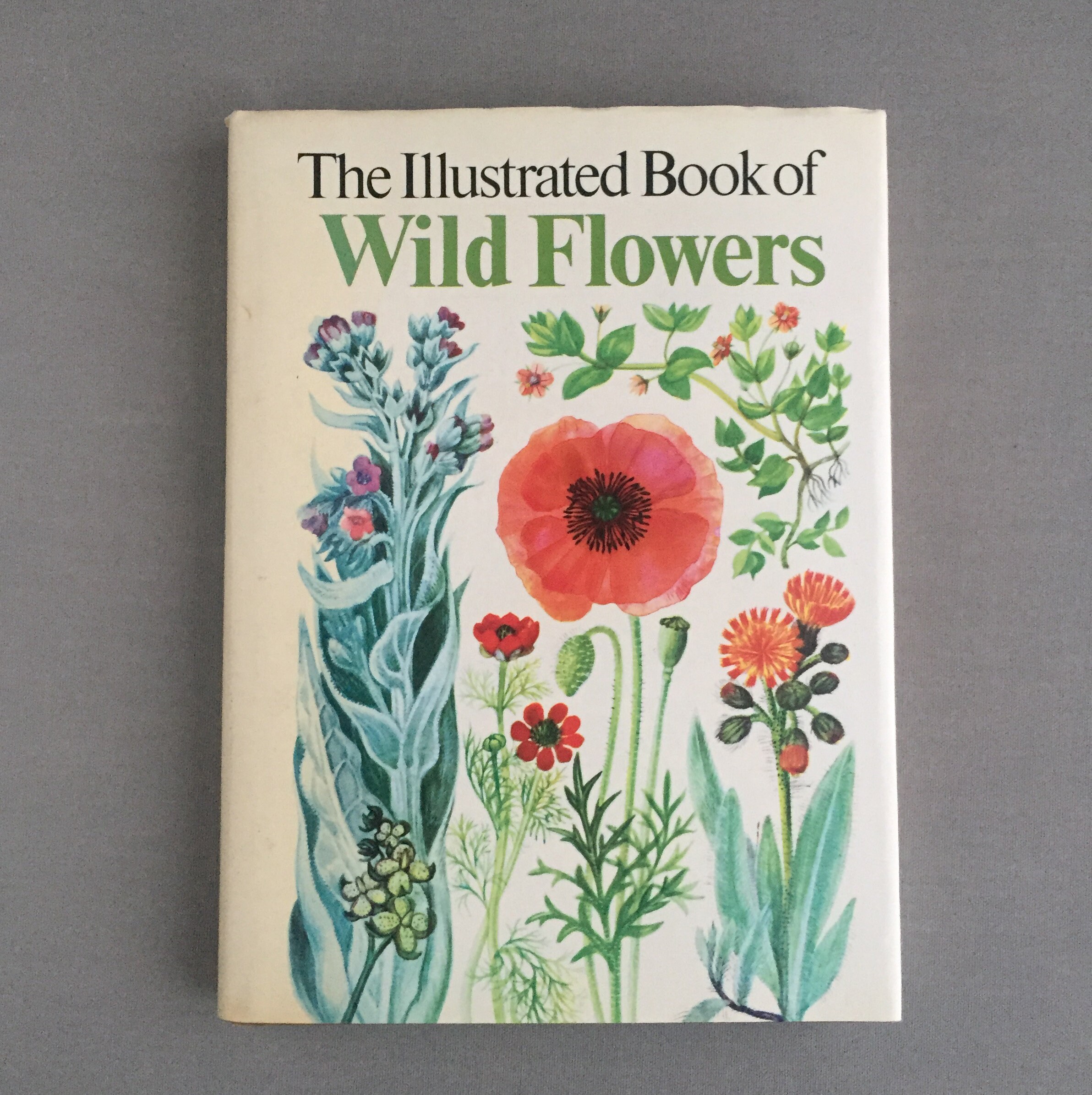 Illustrated book of wild flowers