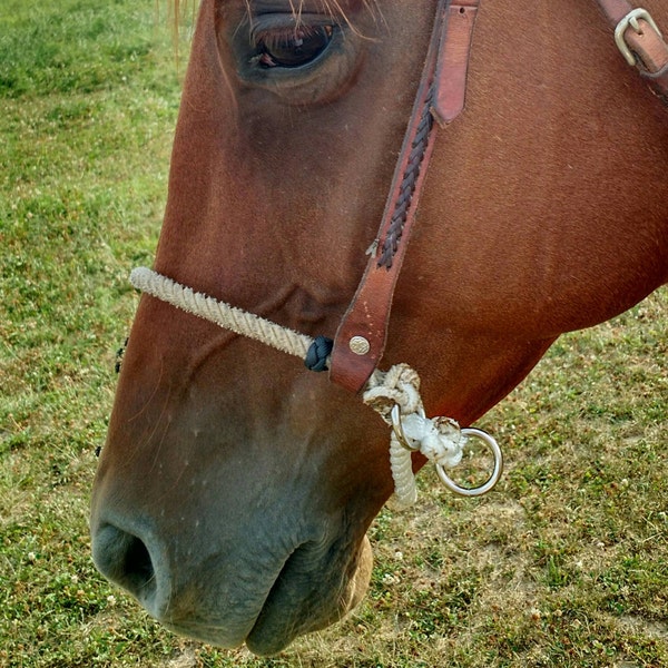 Rope Nose Side Pull