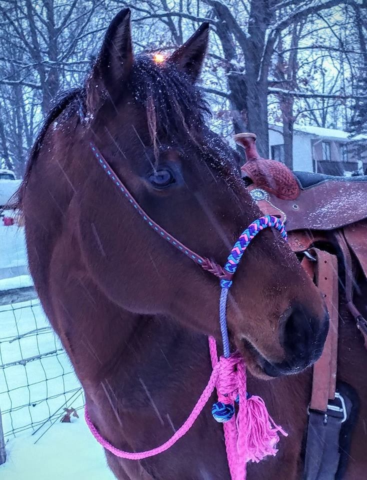 Lariat Bosal with Braided Nose and Heel Knot - Bosal Only