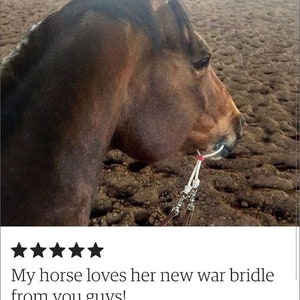 May include: A brown horse with a white bridle. The horse is standing in a dirt arena. The caption reads "My horse loves her new war bridle from you guys!" and "tfiscella Jun 19, 2017".
