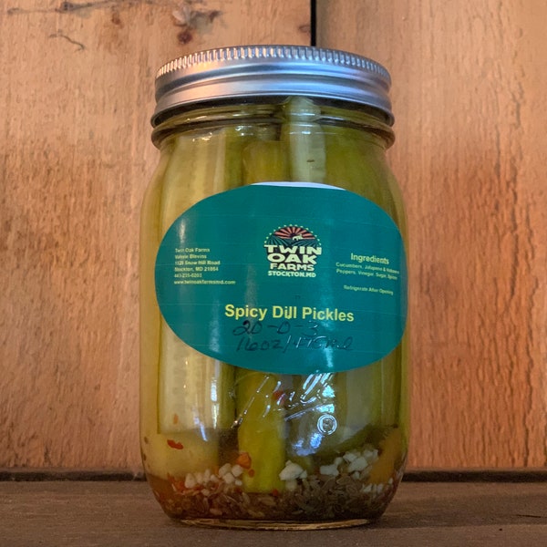 Spicy Dill Pickles