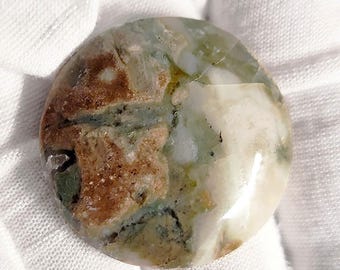 Indonesian Green Round Agatized Petrified Wood Cabochon