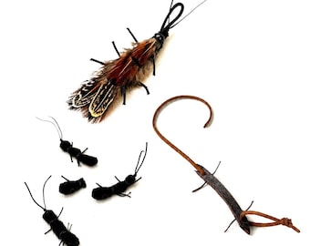 Backyard Bug Collection