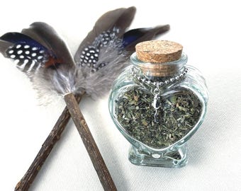 Silvervine Cat Toy: Feather Stick with Catnip Jar