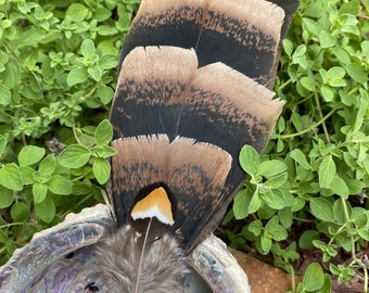 Crystal Point Smudge Fan with Bone Handle