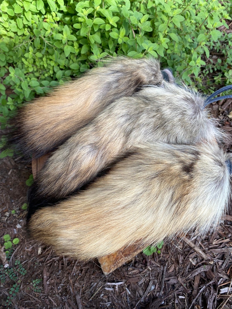 Coyote Tail Cuddle, Carry and Kick Cat Toy image 3