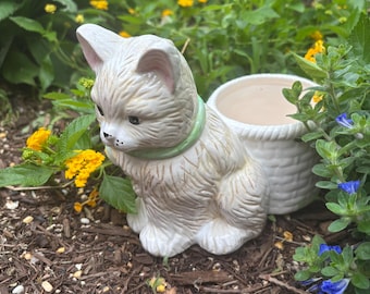 Vintage Cat Planter + Catnip Seeds