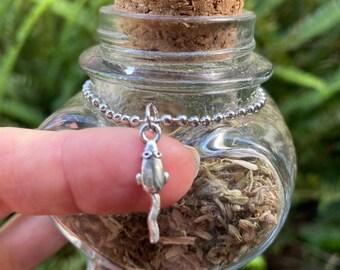 Silvervine Cat Toy: Feather & Fur Stick with Catnip Jar