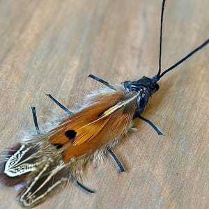 Florida Flying Cockroach Cat Toy, Teaser Wand Attachment, Interactive Play Enrichment Toy, Handmade, Hunt Chase Play